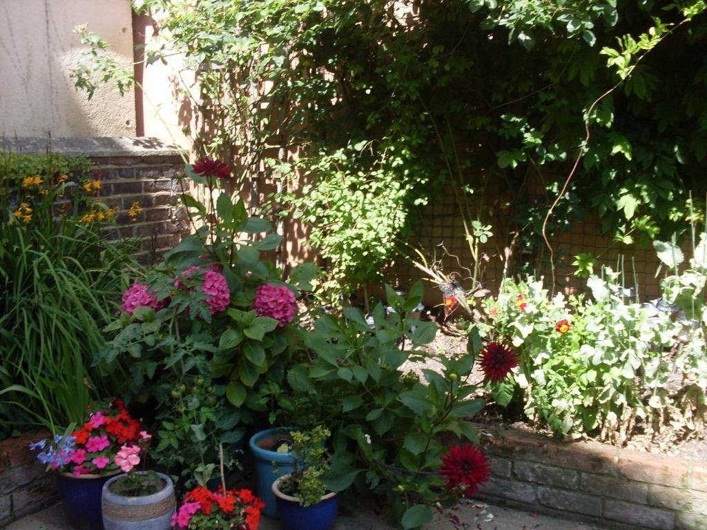 Cambridge House Guest House Eastbourne Quarto foto